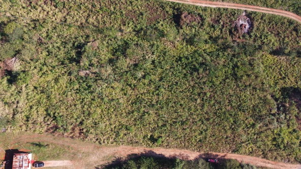 Seventeenth image of Lot 5- Bellevue Heights in Bellevue Heights, St. Catherine, Jamaica - property is For Sale