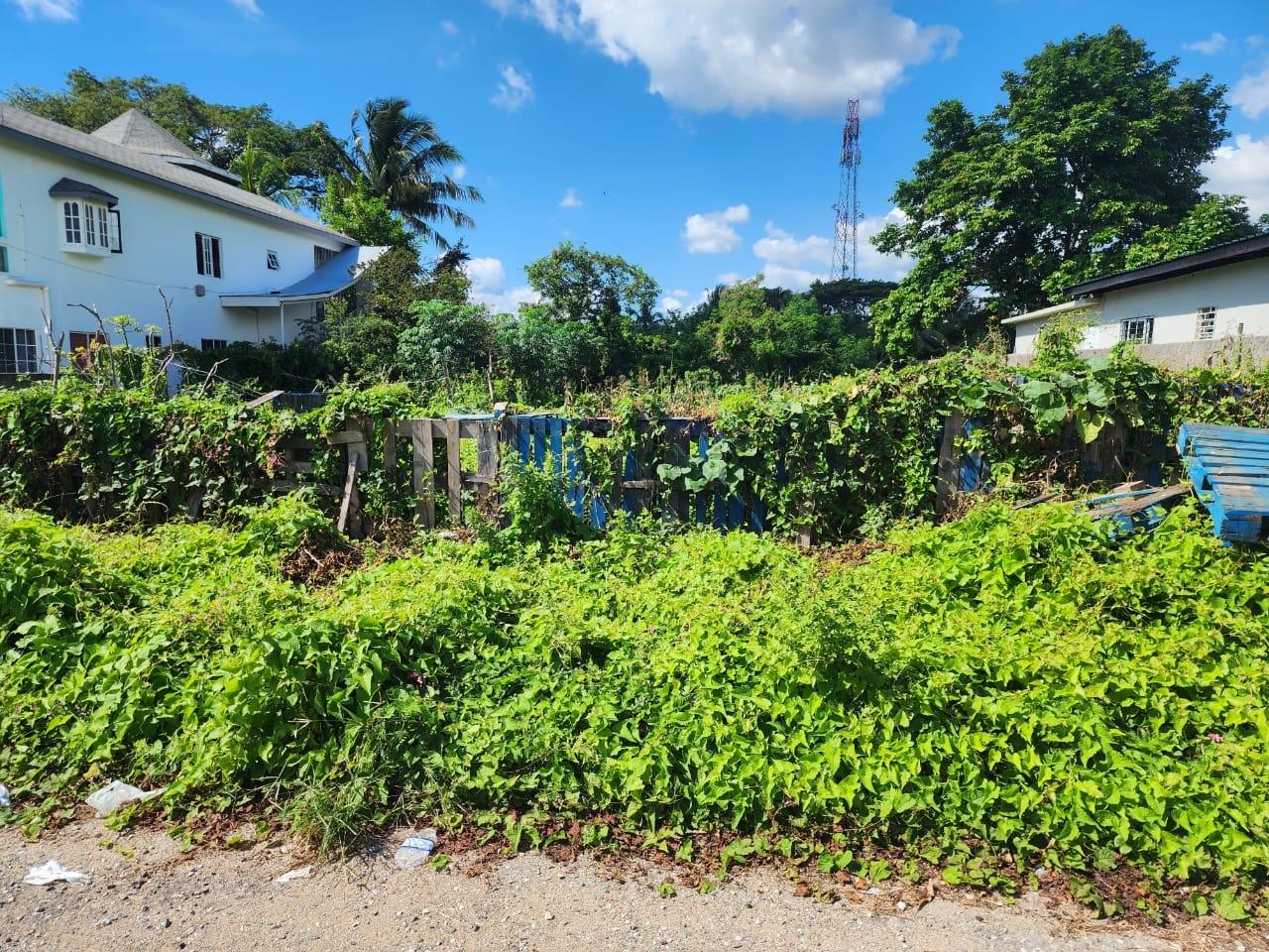 Third image of Lot-10g Rio Cobre Drive in Spanish Town, St. Catherine, Jamaica - property is For Sale