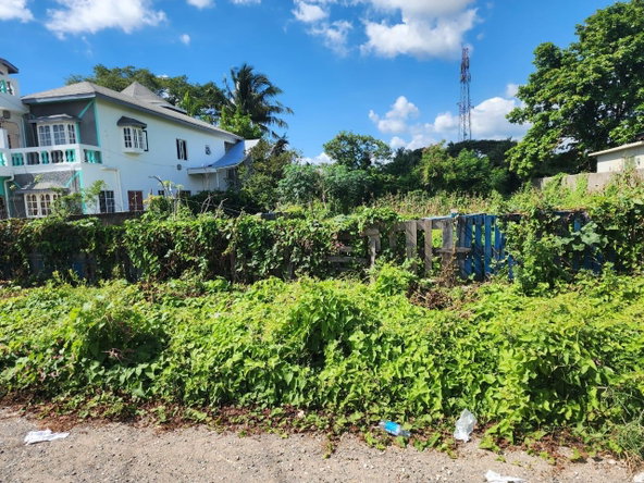 Sixth image of Lot-10g Rio Cobre Drive in Spanish Town, St. Catherine, Jamaica - property is For Sale