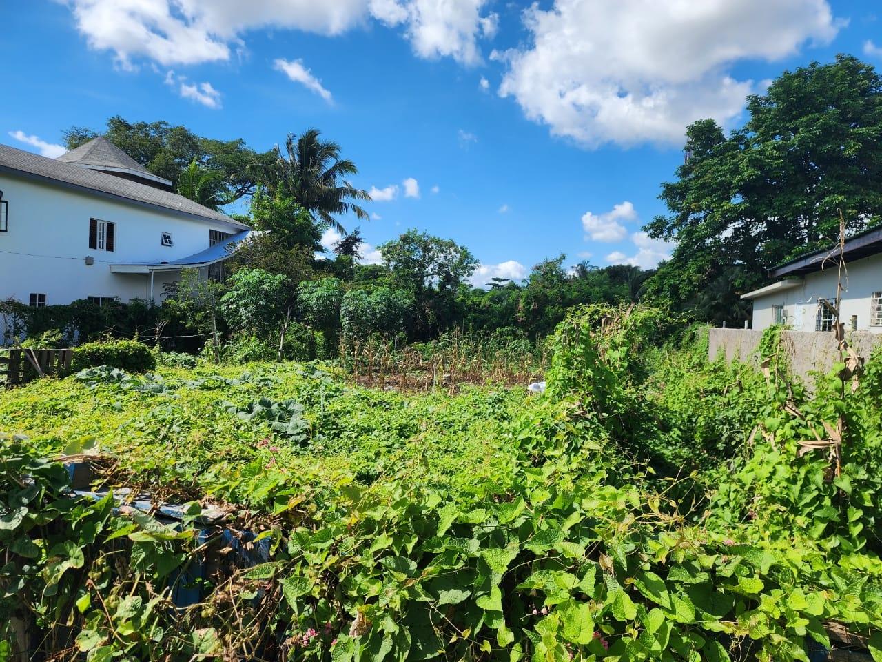 Eighth image of Lot-10g Rio Cobre Drive in Spanish Town, St. Catherine, Jamaica - property is For Sale