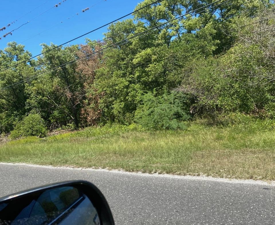 Second image of 100 Parottee in Black River, St. Elizabeth, Jamaica - property is For Sale