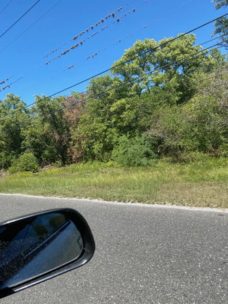 Second image of 100 Parottee in Black River, St. Elizabeth, Jamaica - property is For Sale