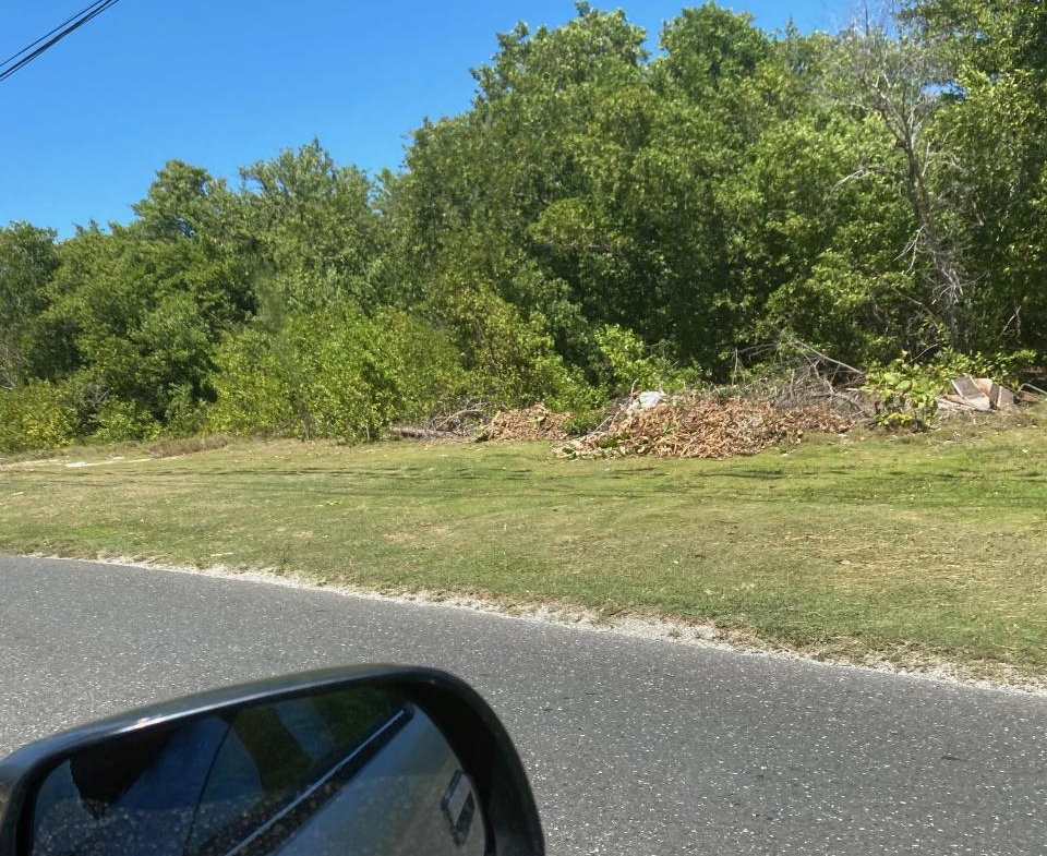 Third image of 100 Parottee in Black River, St. Elizabeth, Jamaica - property is For Sale
