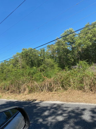 Fourth image of 100 Parottee in Black River, St. Elizabeth, Jamaica - property is For Sale