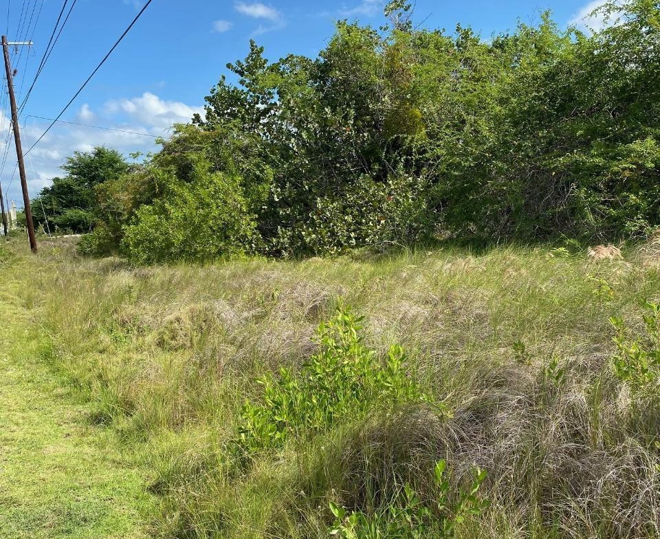 Sixth image of 100 Parottee in Black River, St. Elizabeth, Jamaica - property is For Sale