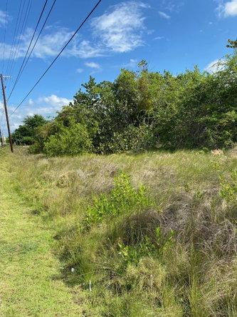 Sixth image of 100 Parottee in Black River, St. Elizabeth, Jamaica - property is For Sale