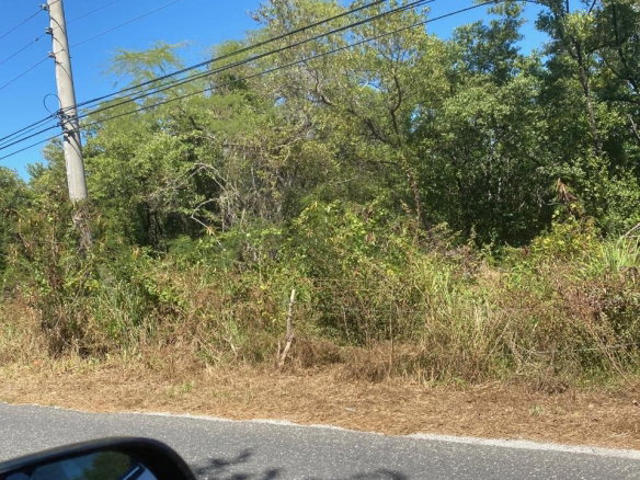 First image of 100 Parottee in Black River, St. Elizabeth, Jamaica - property is For Sale