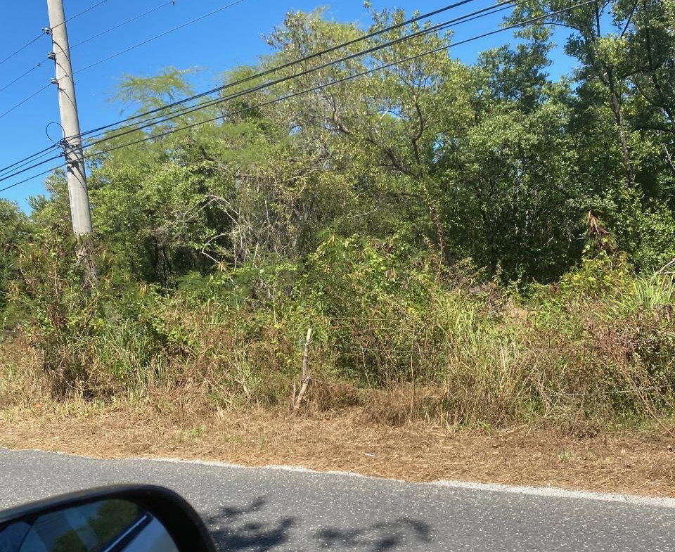 First image of 100 Parottee in Black River, St. Elizabeth, Jamaica - property is For Sale