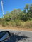 First image of 100 Parottee in Black River, St. Elizabeth, Jamaica - property is For Sale