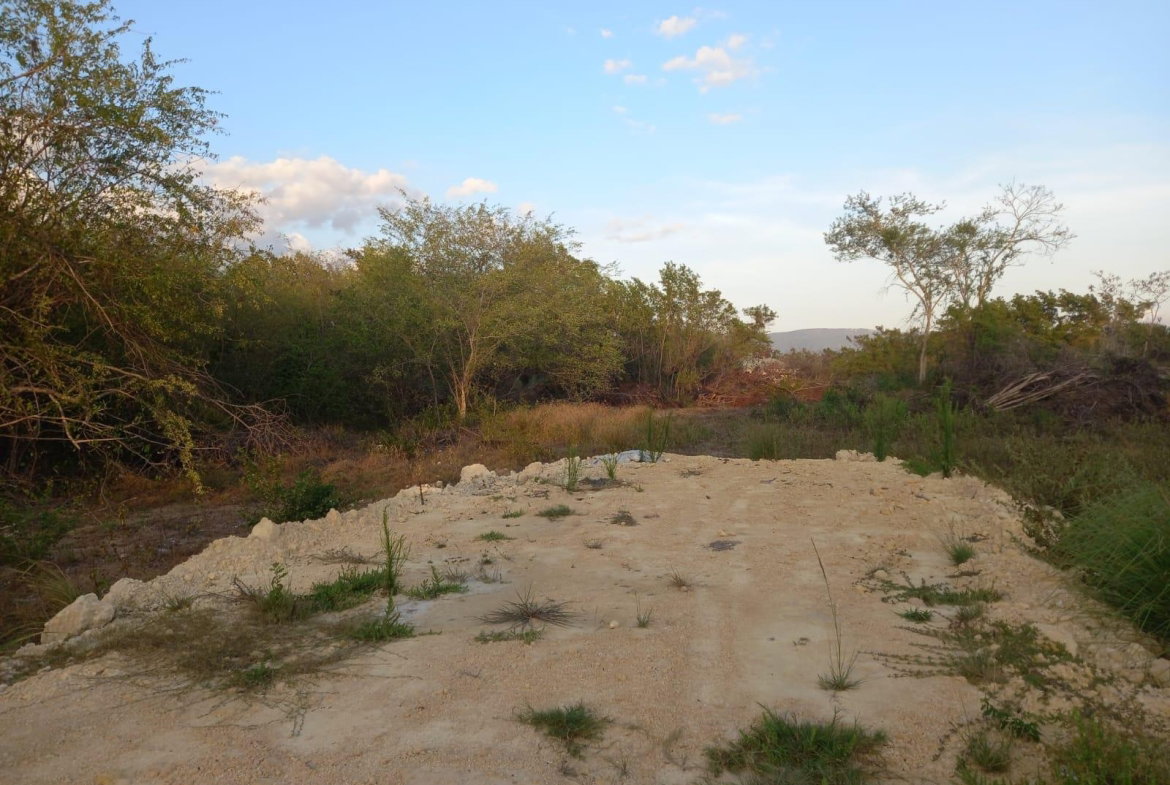 Second image of 97 Parottee Main Road, Black in Black River, St. Elizabeth, Jamaica - property is For Sale
