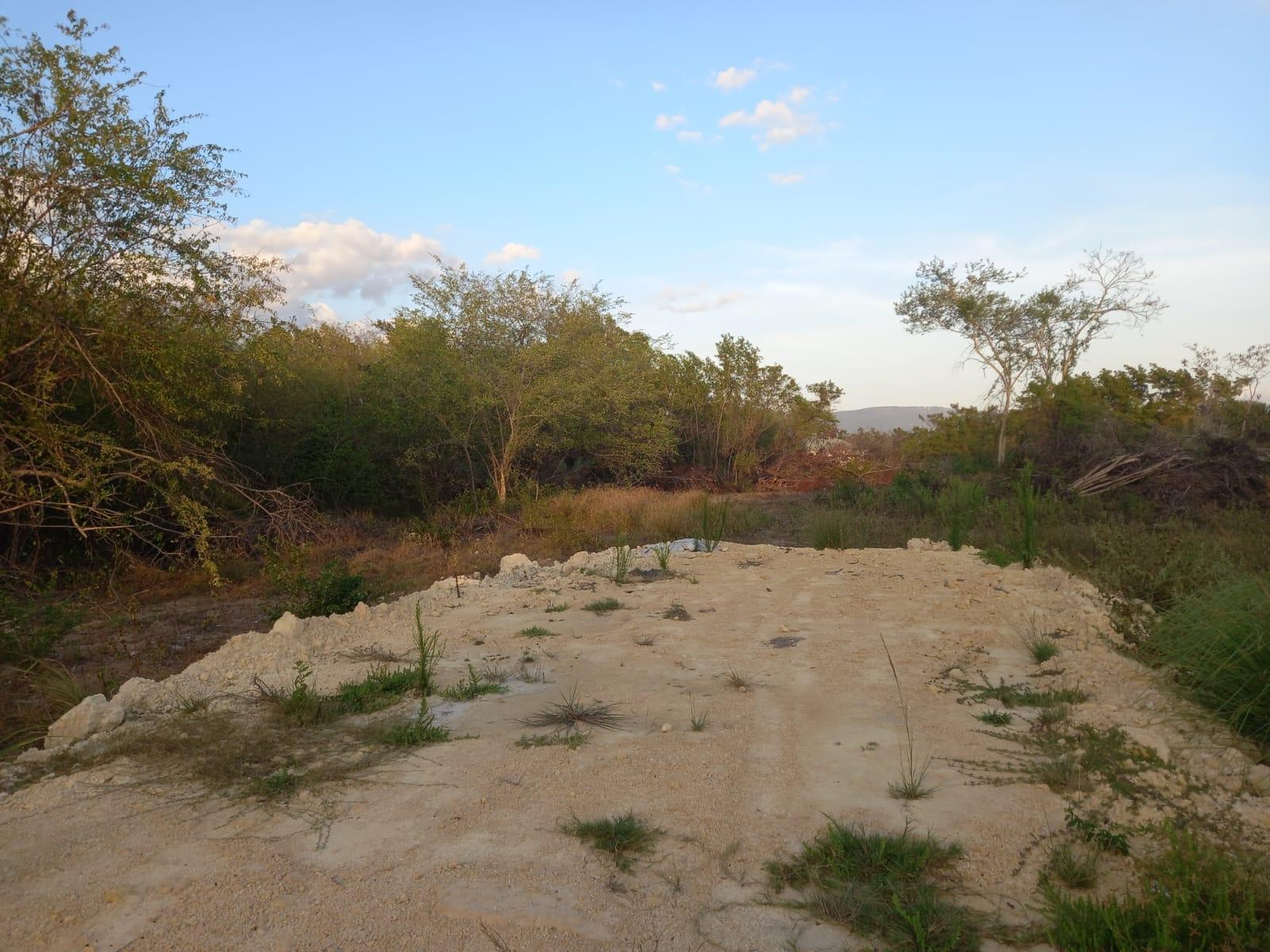 Second image of 97 Parottee Main Road, Black in Black River, St. Elizabeth, Jamaica - property is For Sale