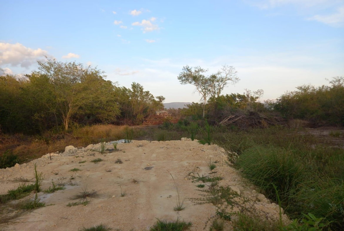 Eleventh image of 97 Parottee Main Road, Black in Black River, St. Elizabeth, Jamaica - property is For Sale