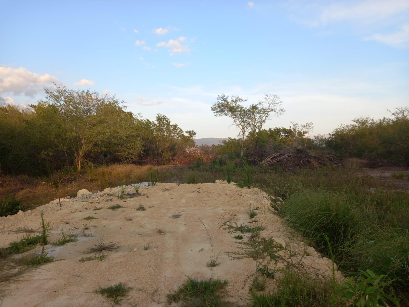 Eleventh image of 97 Parottee Main Road, Black in Black River, St. Elizabeth, Jamaica - property is For Sale