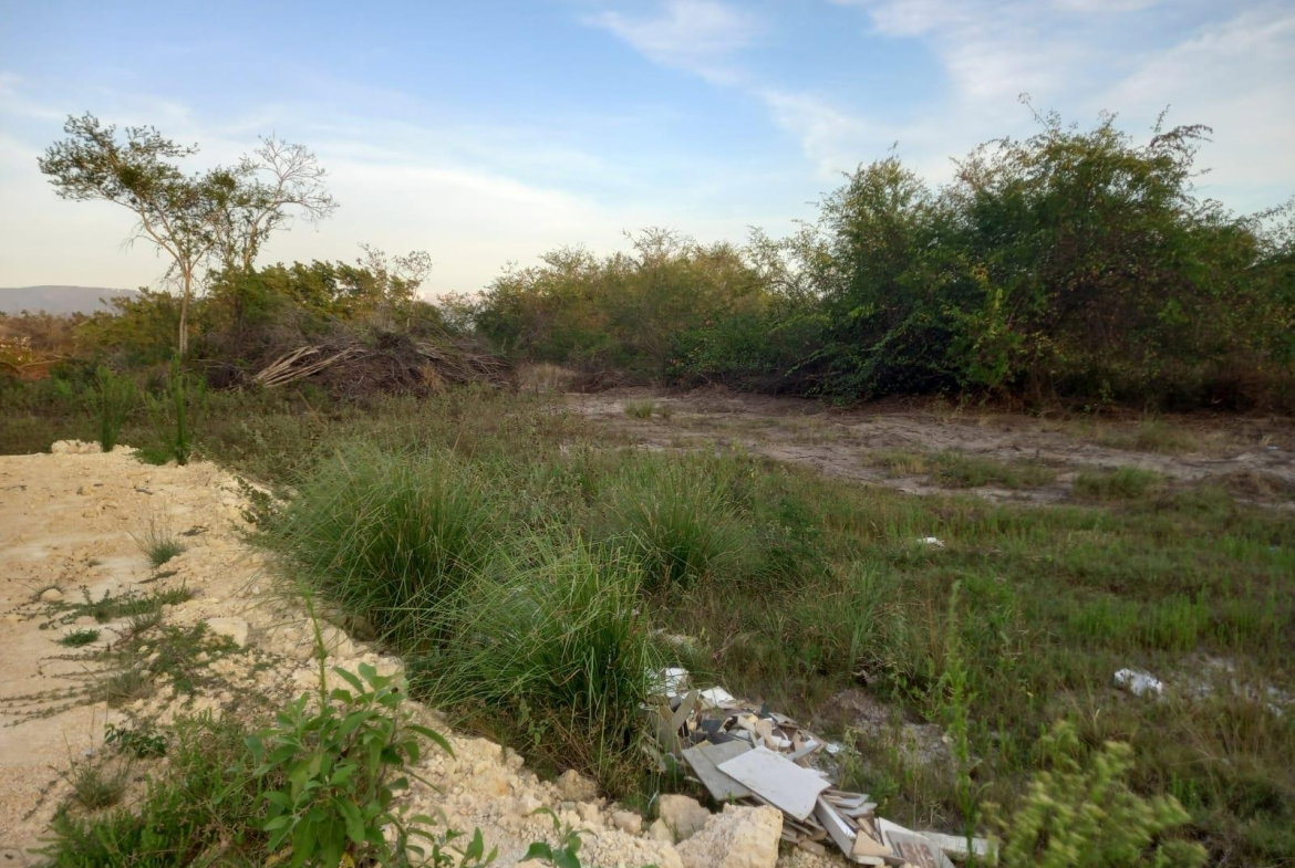 Twelfth image of 97 Parottee Main Road, Black in Black River, St. Elizabeth, Jamaica - property is For Sale