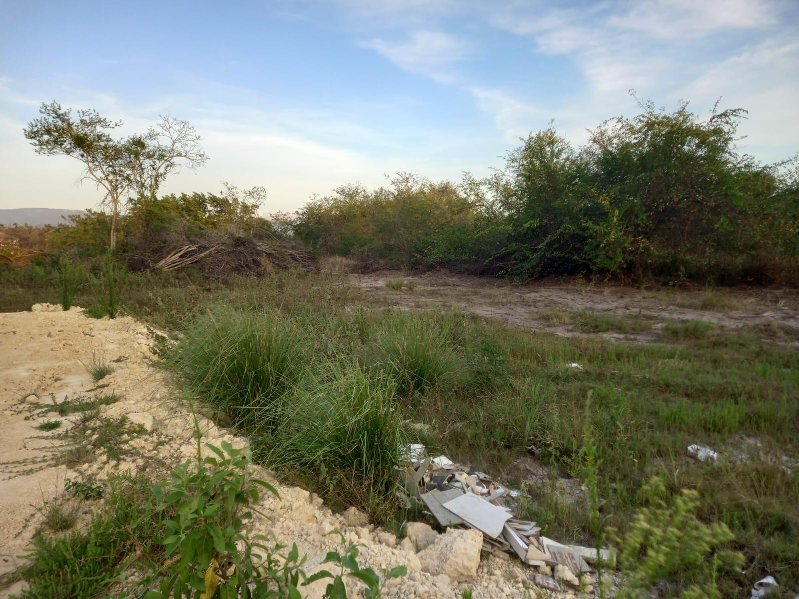 Twelfth image of 97 Parottee Main Road, Black in Black River, St. Elizabeth, Jamaica - property is For Sale