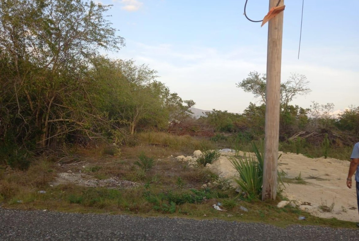 Thirteenth image of 97 Parottee Main Road, Black in Black River, St. Elizabeth, Jamaica - property is For Sale