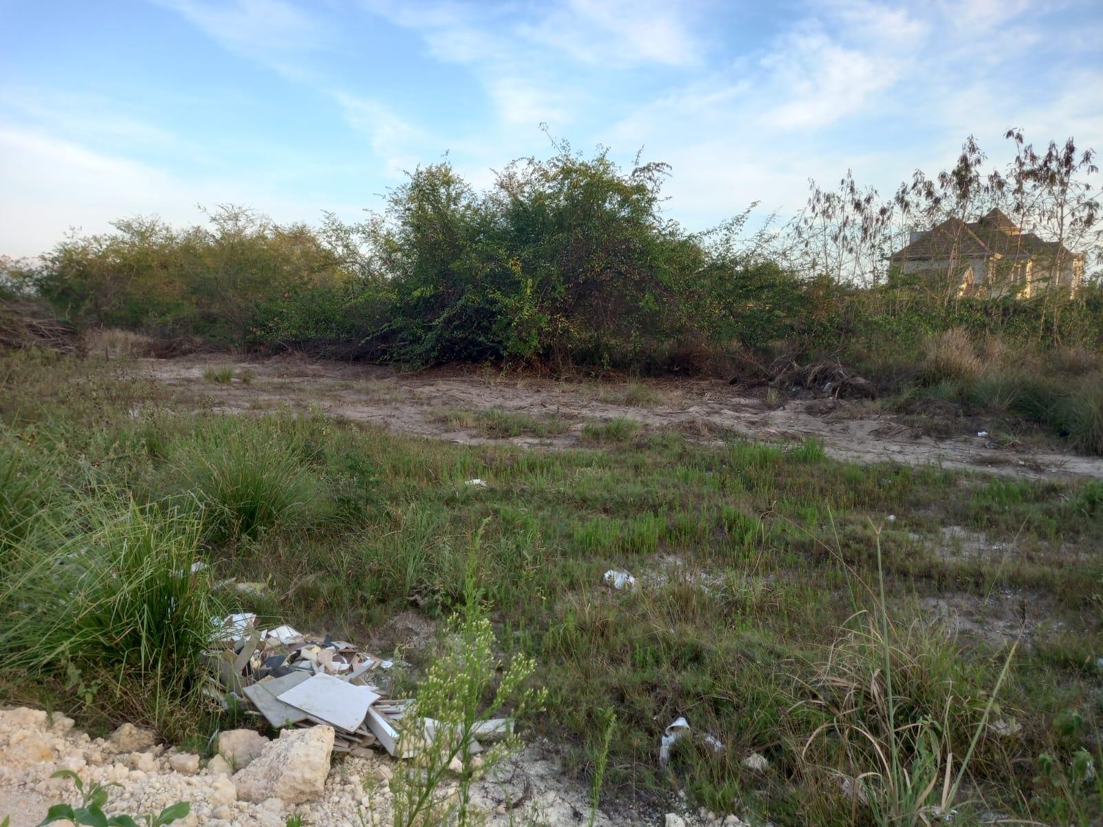 Third image of 97 Parottee Main Road, Black in Black River, St. Elizabeth, Jamaica - property is For Sale