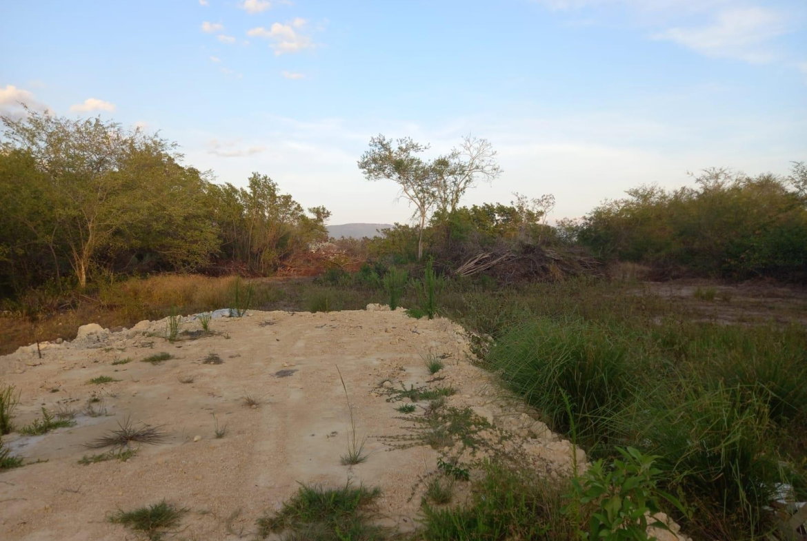 Fourth image of 97 Parottee Main Road, Black in Black River, St. Elizabeth, Jamaica - property is For Sale
