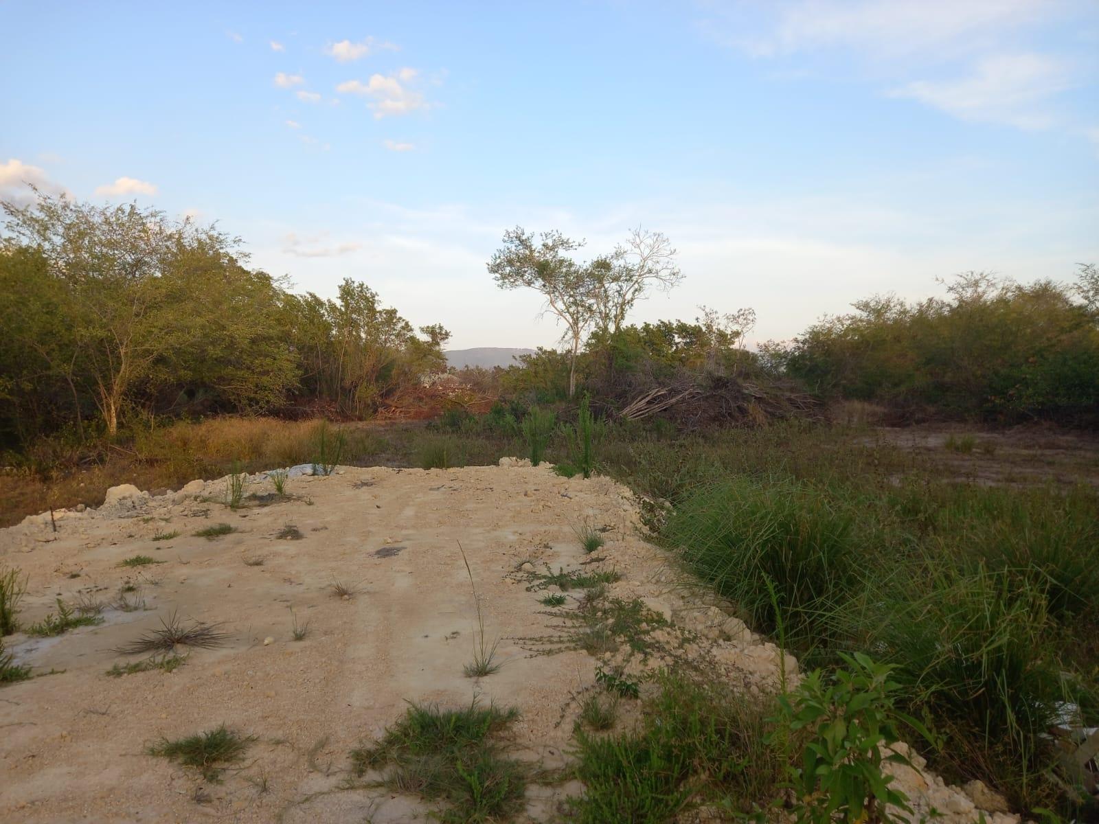 Fourth image of 97 Parottee Main Road, Black in Black River, St. Elizabeth, Jamaica - property is For Sale