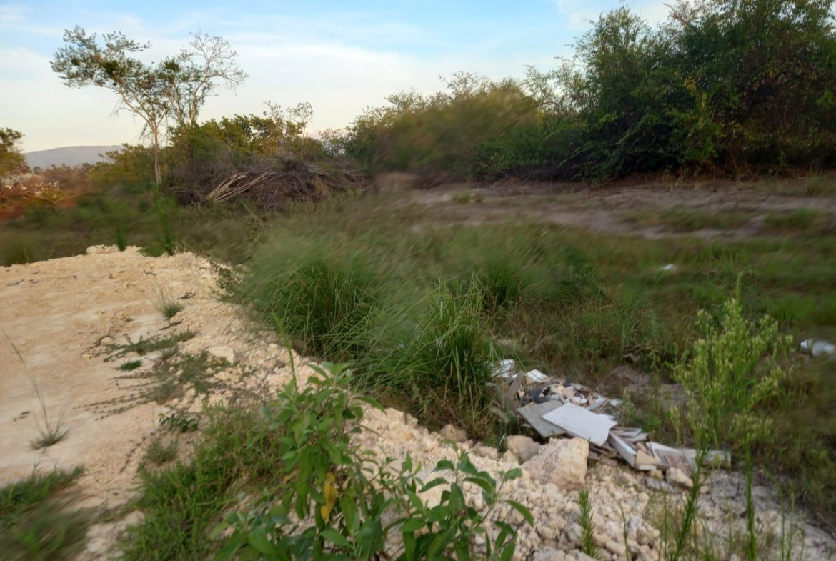 Fifth image of 97 Parottee Main Road, Black in Black River, St. Elizabeth, Jamaica - property is For Sale