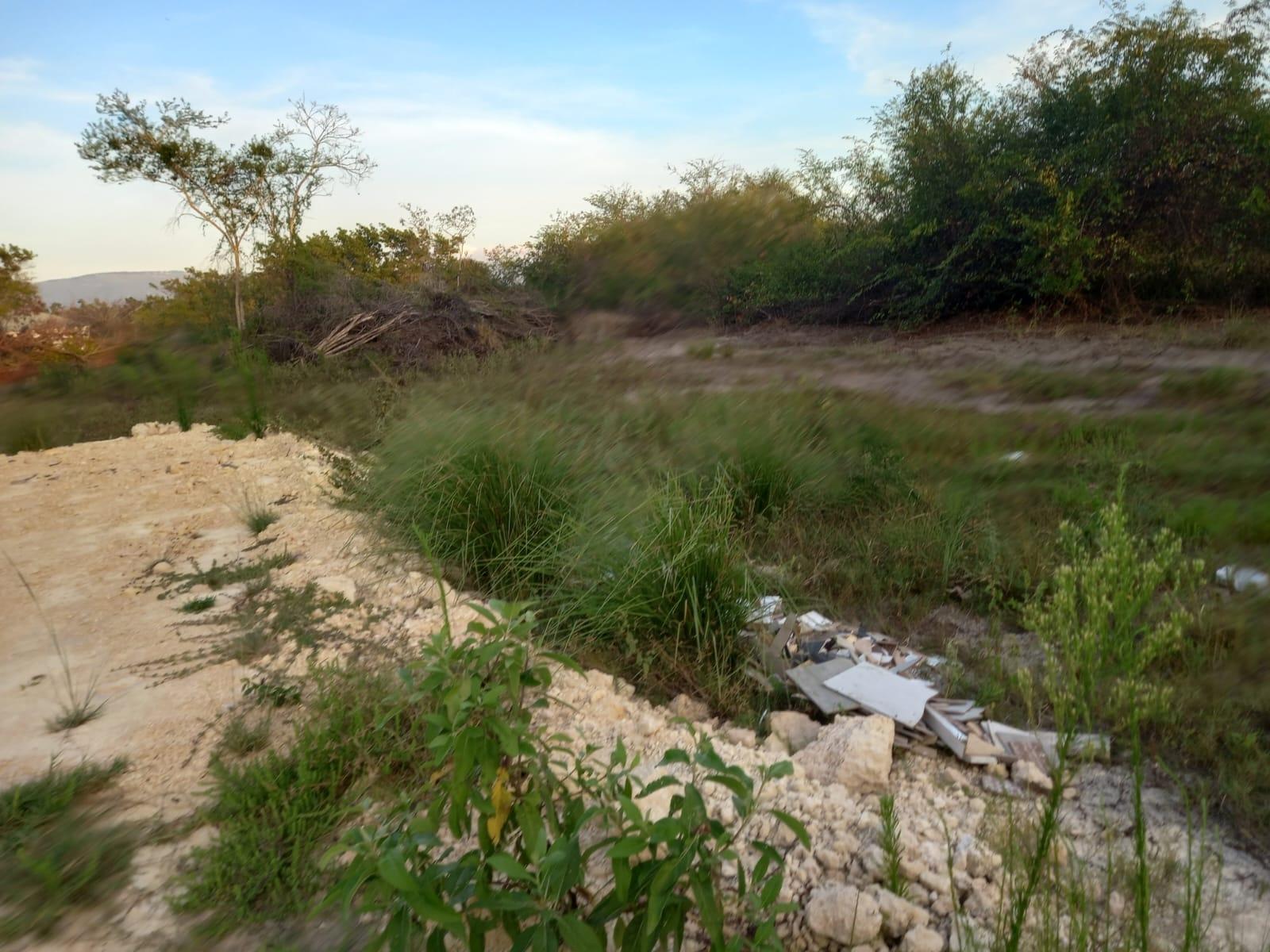 Fifth image of 97 Parottee Main Road, Black in Black River, St. Elizabeth, Jamaica - property is For Sale