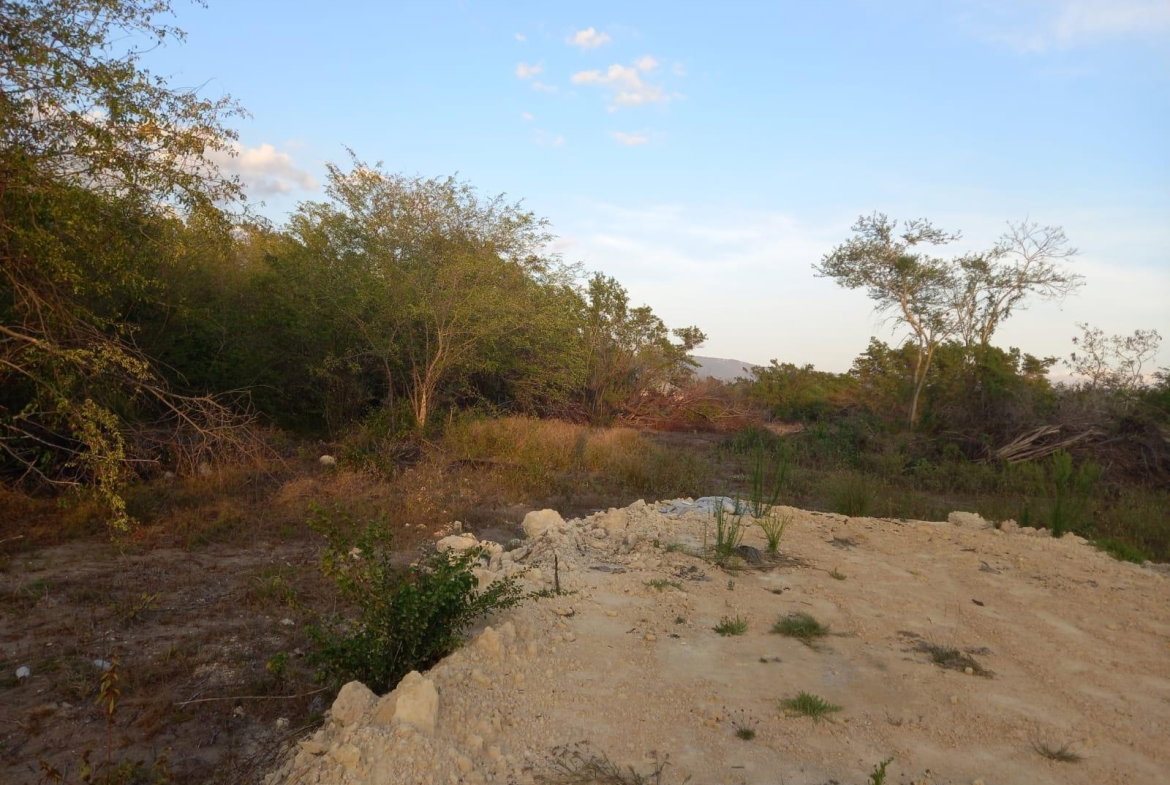 Sixth image of 97 Parottee Main Road, Black in Black River, St. Elizabeth, Jamaica - property is For Sale