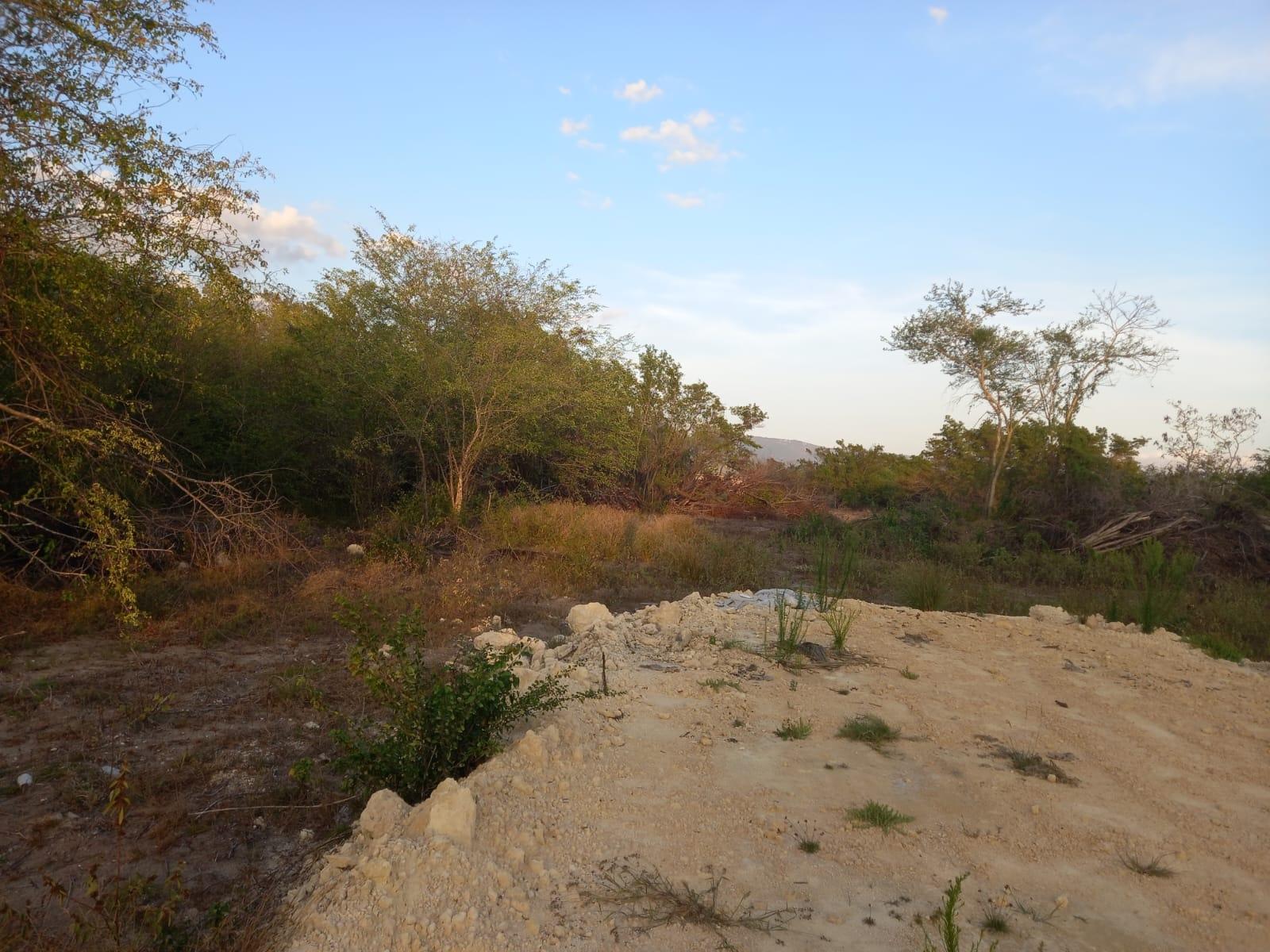 Sixth image of 97 Parottee Main Road, Black in Black River, St. Elizabeth, Jamaica - property is For Sale