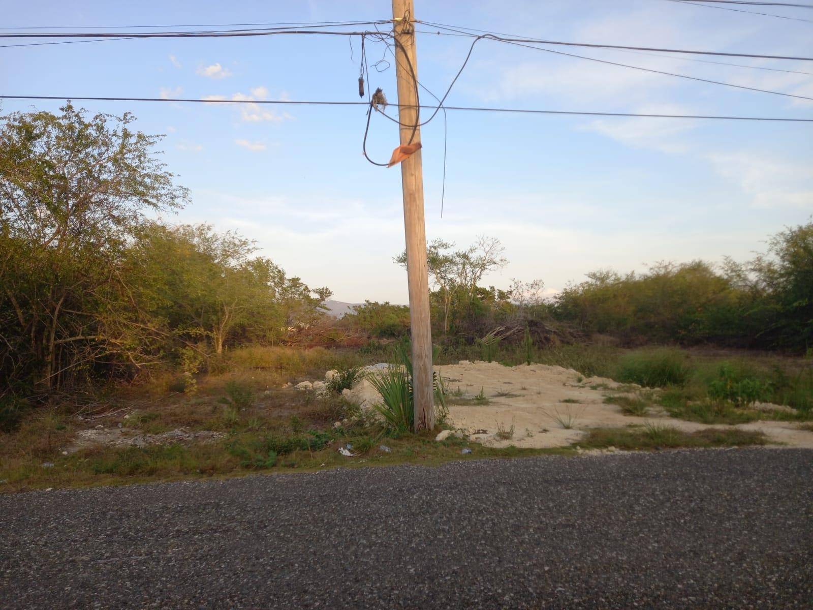 Seventh image of 97 Parottee Main Road, Black in Black River, St. Elizabeth, Jamaica - property is For Sale