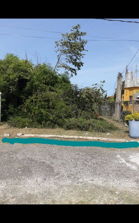 Second image of Lot 678 Luana Pen Black r in Black River, St. Elizabeth, Jamaica - property is For Sale