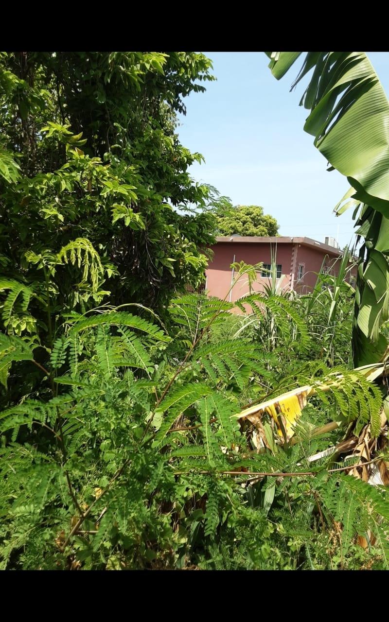 Fourteenth image of Lot 678 Luana Pen Black r in Black River, St. Elizabeth, Jamaica - property is For Sale