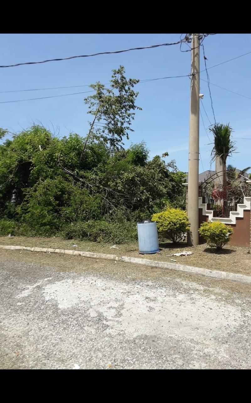 Third image of Lot 678 Luana Pen Black r in Black River, St. Elizabeth, Jamaica - property is For Sale