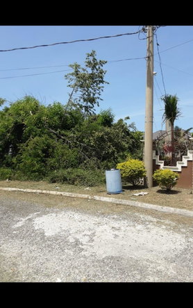 Third image of Lot 678 Luana Pen Black r in Black River, St. Elizabeth, Jamaica - property is For Sale