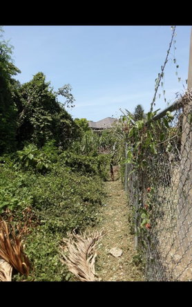 Fourth image of Lot 678 Luana Pen Black r in Black River, St. Elizabeth, Jamaica - property is For Sale
