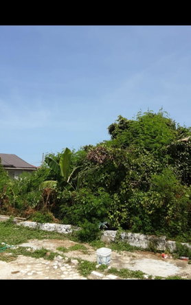 Sixth image of Lot 678 Luana Pen Black r in Black River, St. Elizabeth, Jamaica - property is For Sale