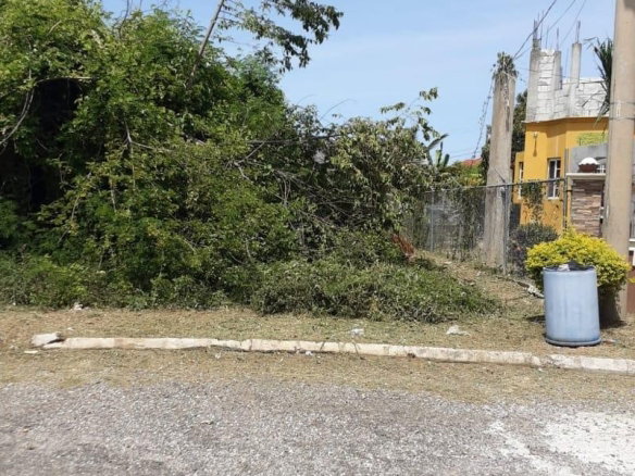 First image of Lot 678 Luana Pen Black r in Black River, St. Elizabeth, Jamaica - property is For Sale