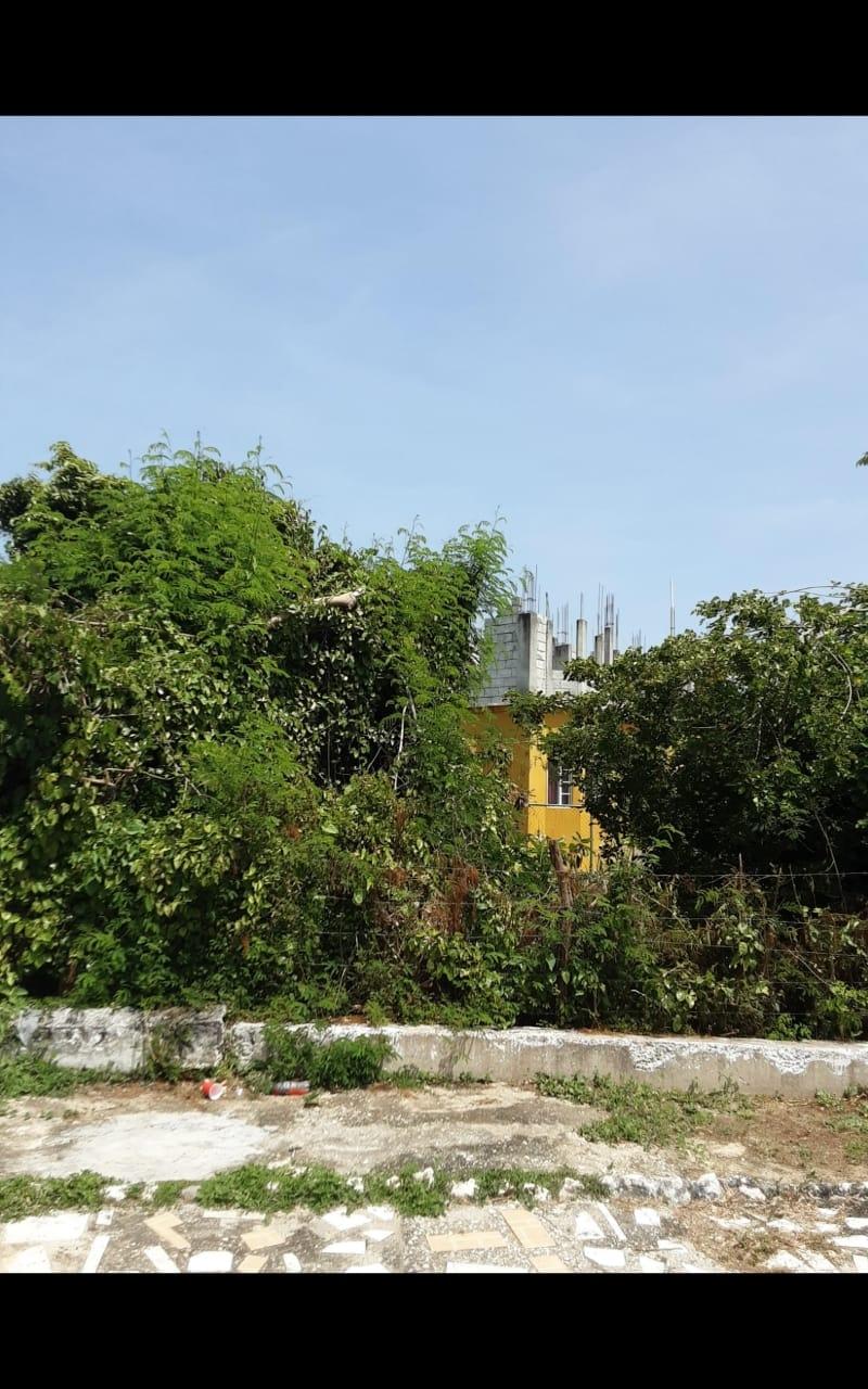 Seventh image of Lot 678 Luana Pen Black r in Black River, St. Elizabeth, Jamaica - property is For Sale
