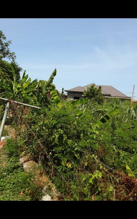 Eighth image of Lot 678 Luana Pen Black r in Black River, St. Elizabeth, Jamaica - property is For Sale