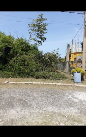 First image of Lot 678 Luana Pen Black r in Black River, St. Elizabeth, Jamaica - property is For Sale