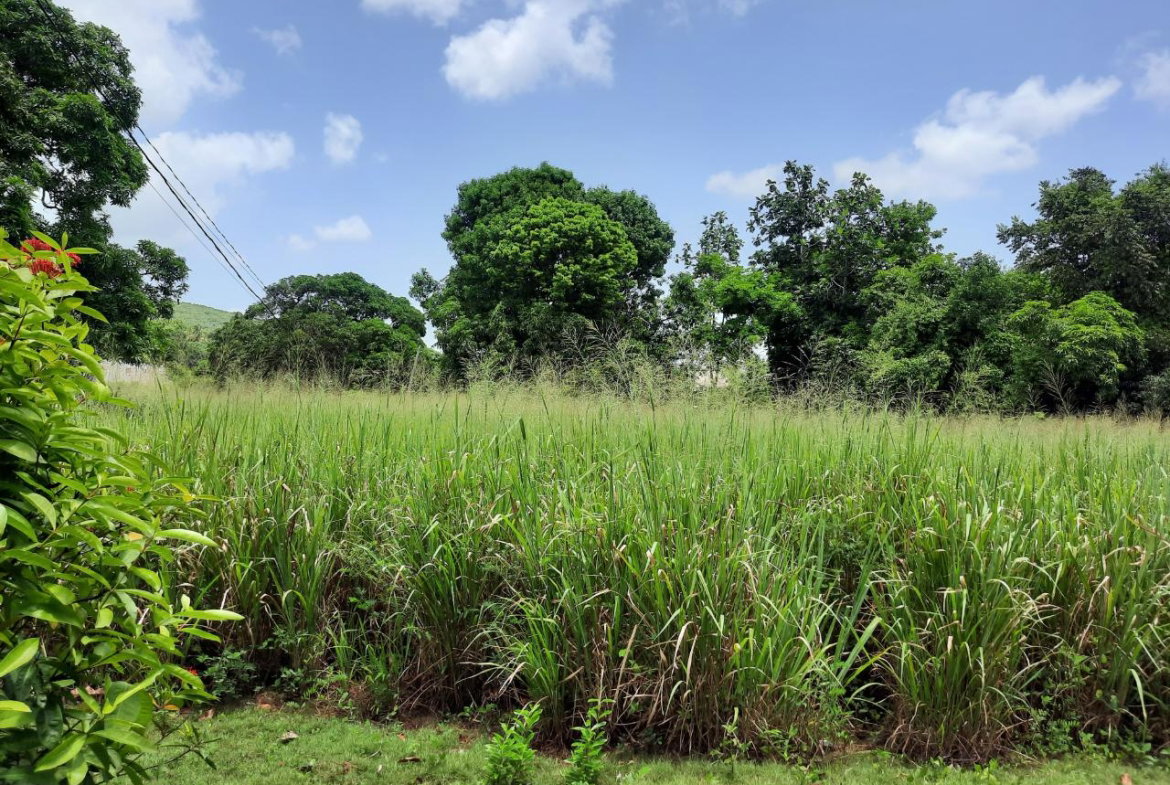 Fifth image of Bull Savannah in Junction, St. Elizabeth, Jamaica - property is For Sale