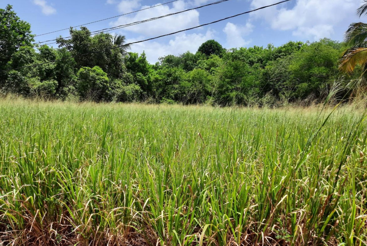 Sixth image of Bull Savannah in Junction, St. Elizabeth, Jamaica - property is For Sale