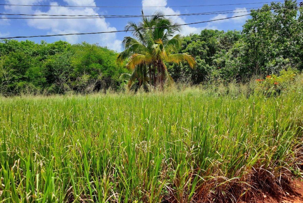 Seventh image of Bull Savannah in Junction, St. Elizabeth, Jamaica - property is For Sale