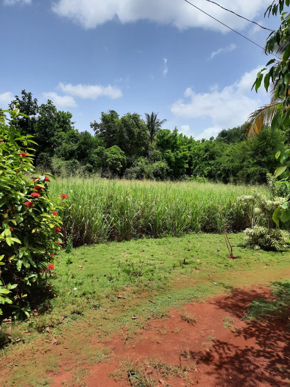 First image of Bull Savannah in Junction, St. Elizabeth, Jamaica - property is For Sale