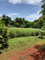 First image of Bull Savannah in Junction, St. Elizabeth, Jamaica - property is For Sale