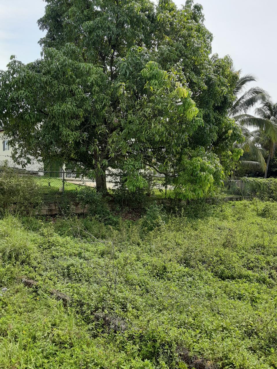 Fifth image of Santa Cruz Main rd in Santa Cruz, St. Elizabeth, Jamaica - property is For Sale