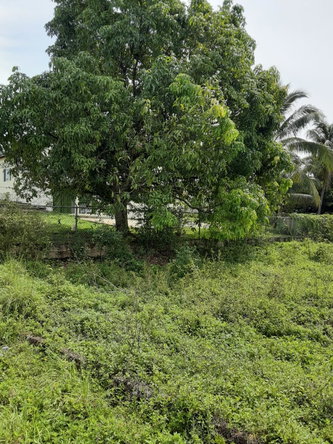 Fifth image of Santa Cruz Main rd in Santa Cruz, St. Elizabeth, Jamaica - property is For Sale