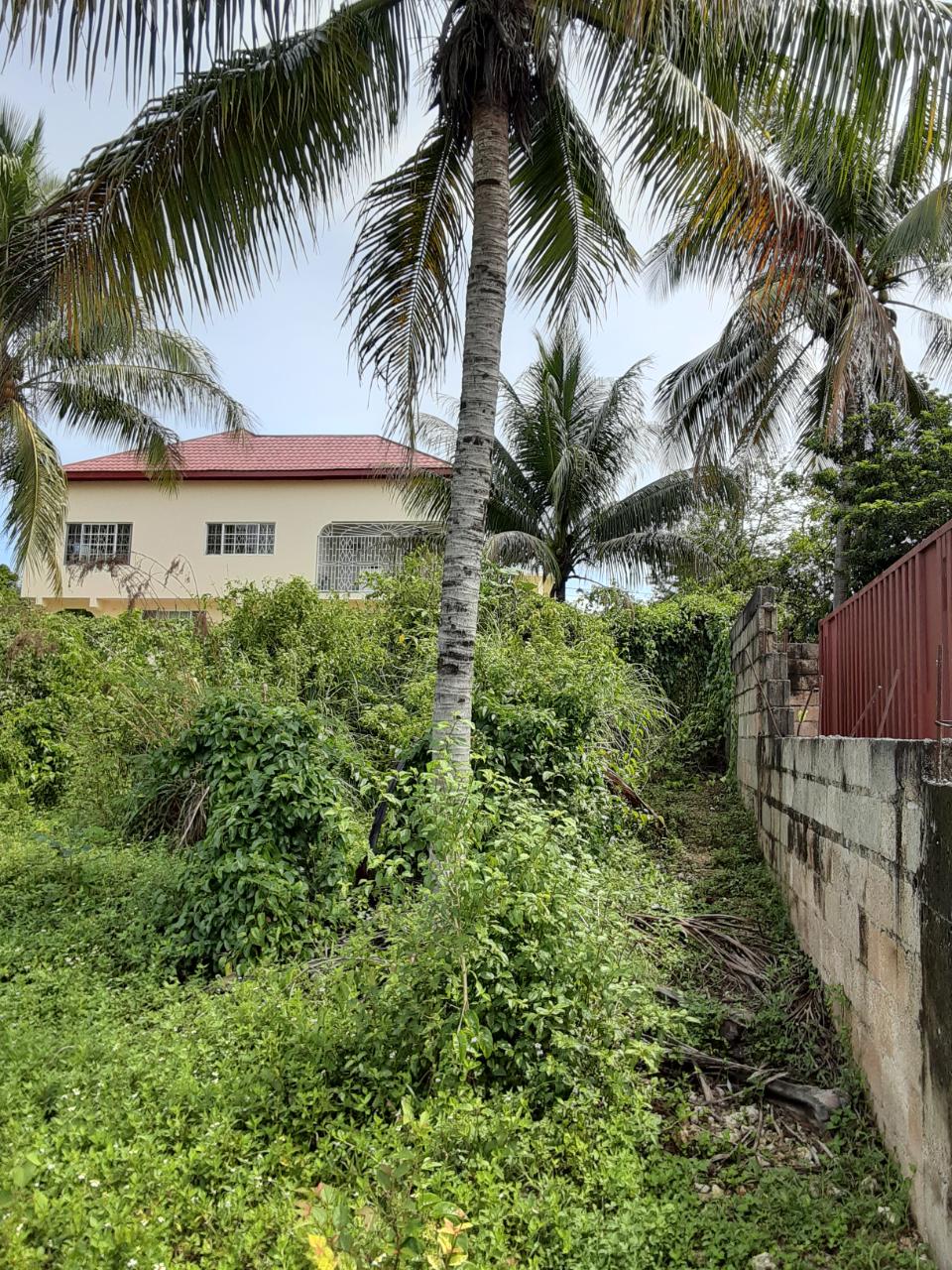 Sixth image of Santa Cruz Main rd in Santa Cruz, St. Elizabeth, Jamaica - property is For Sale