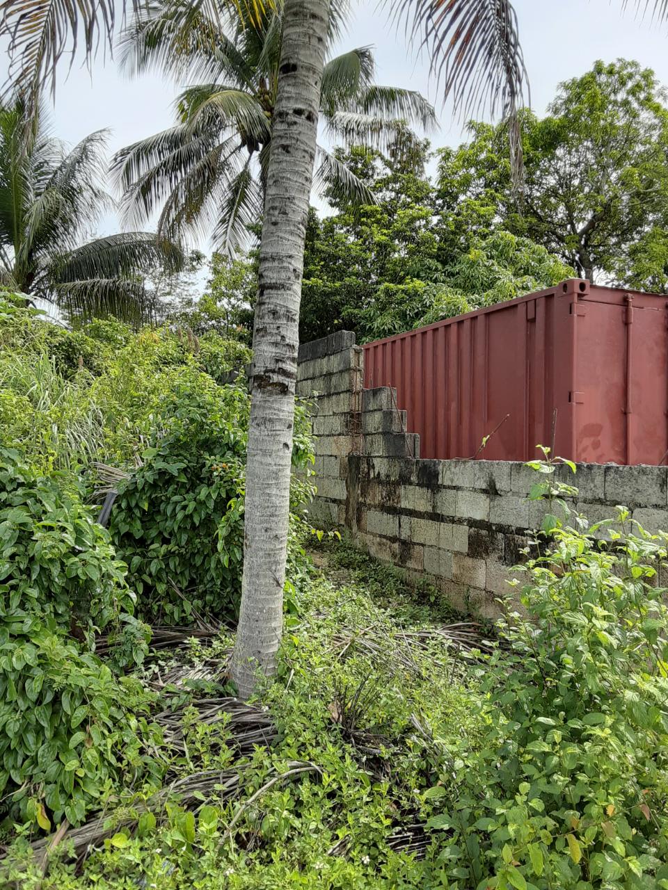 Seventh image of Santa Cruz Main rd in Santa Cruz, St. Elizabeth, Jamaica - property is For Sale