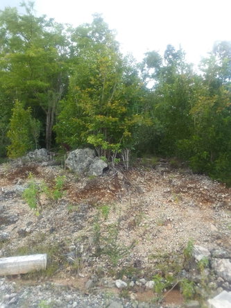 Third image of 32 St. Jago Hills Dev. in Spanish Town, St. Catherine, Jamaica - property is For Sale