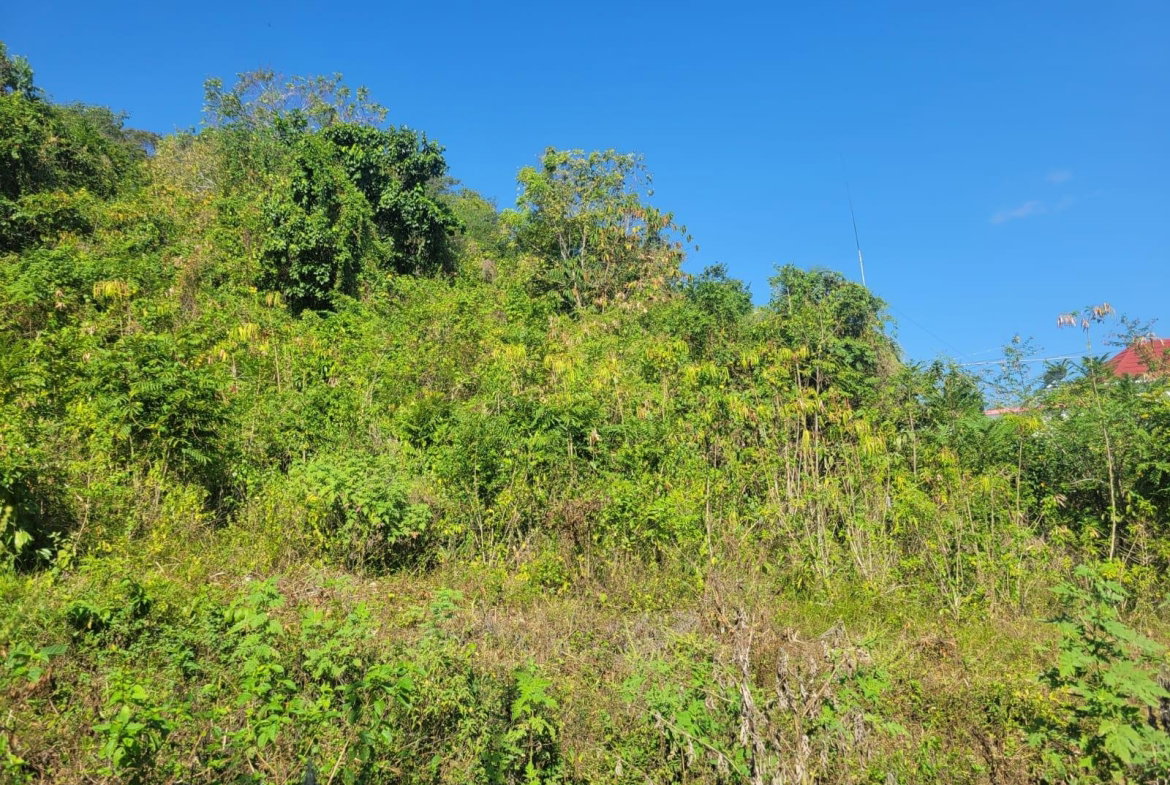 First image of 534- Retirement in Retirement Estate, St. James, Jamaica - property is For Sale