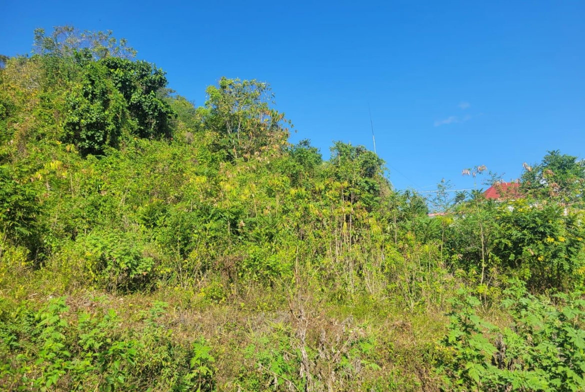 Fourth image of 534- Retirement in Retirement Estate, St. James, Jamaica - property is For Sale